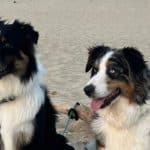 avis et recommandation flavie delorme