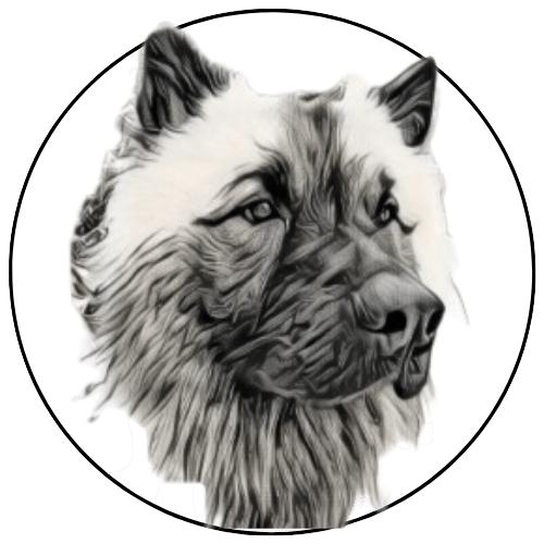 Logo Chien et Vous