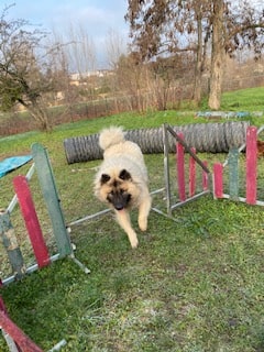 saiko faisant un parcours